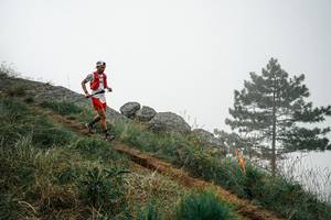 BIB: 
                            <button type="button" onclick="openModal(25992969)" class="btn btn-primary btn-sm float-right btn-popup" data-toggle="modal" data-target=".modal-high-quality">
                        <i class="fas fa-shopping-cart"></i> Add to Cart
                    </button>
                                            <button type="button" onclick="isThisMe(25992969, true)" class="btn btn-success btn-sm float-right btn-popup btn-isme hidden" data-toggle="tooltip" data-placement="bottom" title="นี่คือรูปของคุณใช่ไหม คลิกที่นี่เพื่อเอาเข้าอัลบั้ม">
                        <i class="fas fa-plus"></i> Add to album
                    </button>
                    <button type="button" onclick="isThisMe(25992969, false)" class="btn btn-warning btn-sm float-right btn-popup btn-isnotme hidden">
                        <i class="fas fa-ban"></i> Remove from album
                    </button>